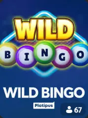 Wild Bingo BC Game Maldives cover